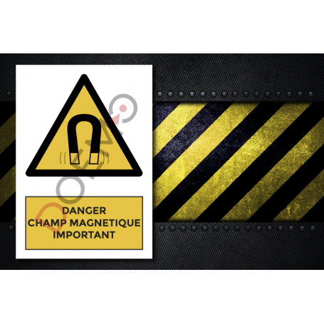 1121421205-Danger_champ_magnetique_important