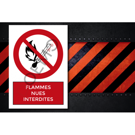 1131081101-Flammes_nues_interdites