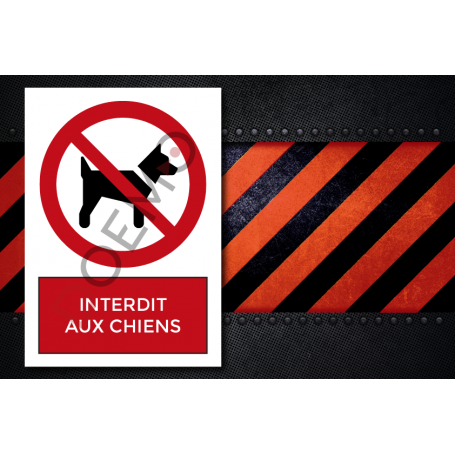 1131051101-Interdit_aux_chiens