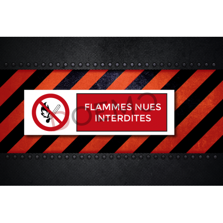 1131210201-Flammes_nues_interdites