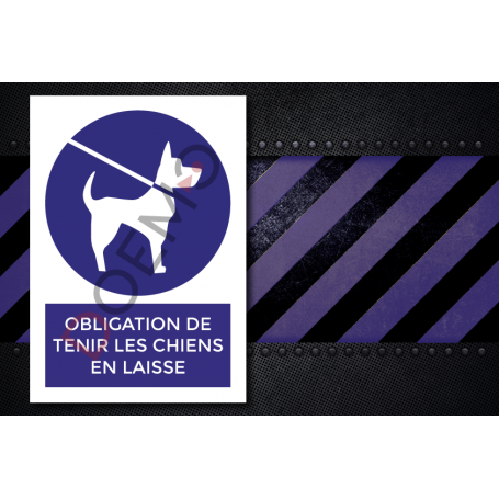 1111021201-Obligation_de_tenir_les_chiens_en_laisse
